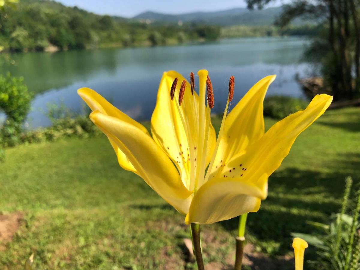 Jezero Snijeznica - Vikendica Villa Kültér fotó